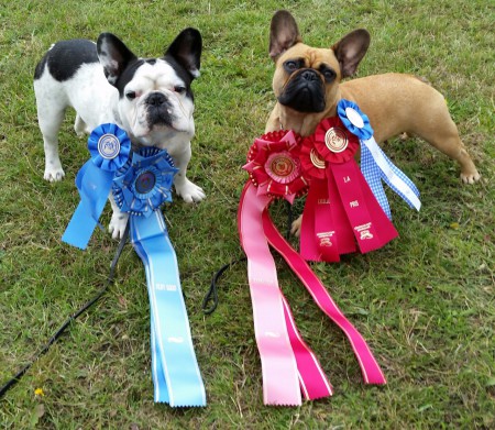 Norrköping nationella 2014